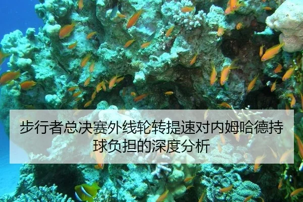 步行者总决赛外线轮转提速对内姆哈德持球负担的深度分析
